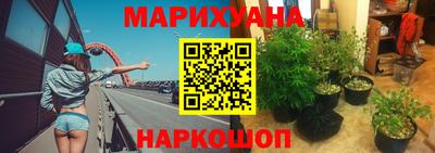 трава Славянск-на-Кубани