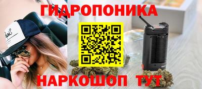трава Славянск-на-Кубани