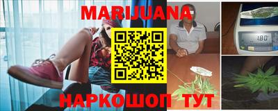 индика Славгород