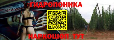 индика Славгород