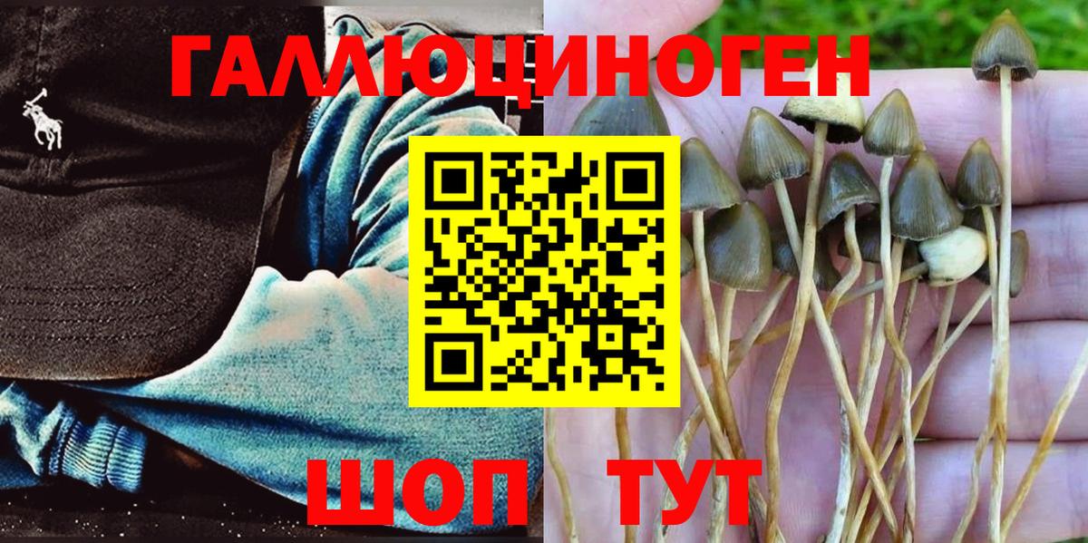 Псилоцибиновые грибы прущие грибы Новошахтинск