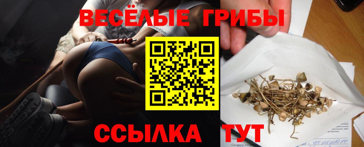 Псилоцибиновые грибы GOLDEN TEACHER  Вход с VPN  Новошахтинск 